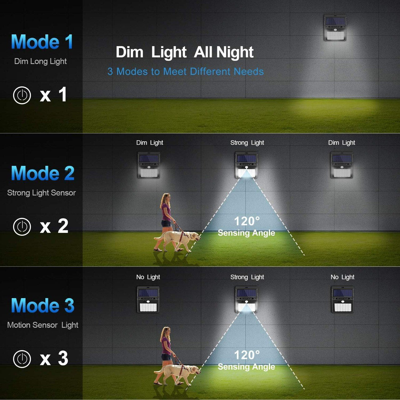 Solar Motion Sensor Wall Lantern Light