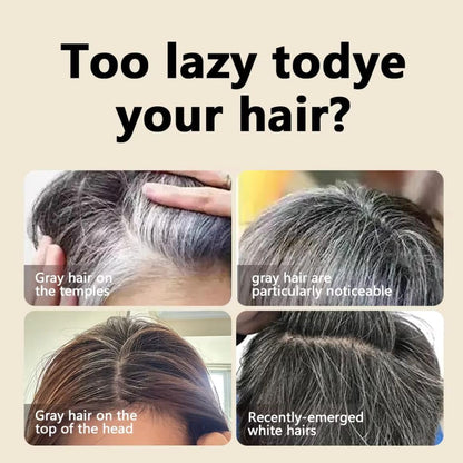 Instant Hair Root Touch-Up Comb Stick